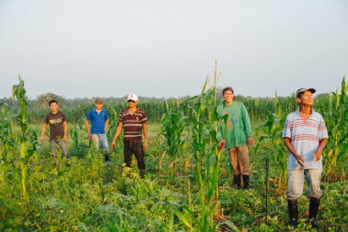 Jose Luis Farm Honduras